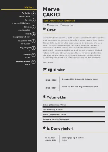 Laboratuvar Teknisyeni Cv Örnekleri cv indir